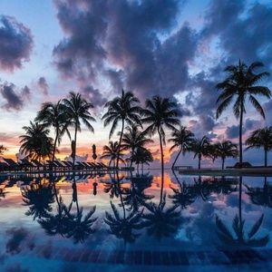 Meet your Posher, Hugo